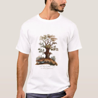 T-shirt Illustration Arbre-Champignons vintage/rétro