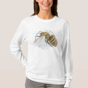 T-shirt Illustration d'abeille européenne de miel