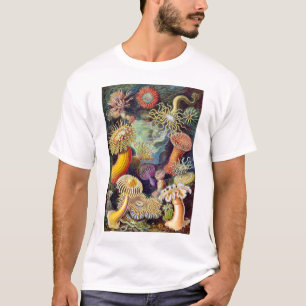 T-shirt Illustration d'Actiniae Germa Ernst Haeckel