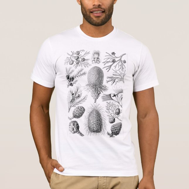 T-shirt Illustration de Haeckel Conifer (Devant)