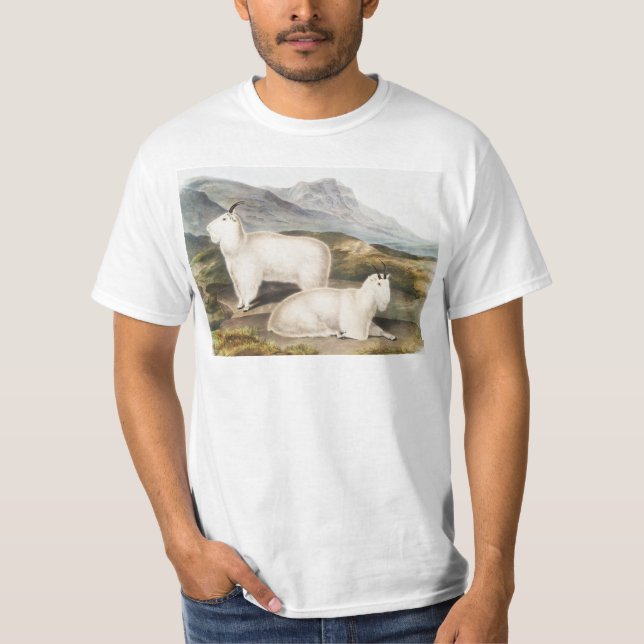 T-shirt Illustration de la chèvre des Rocheuses (Capra Ame (Devant)
