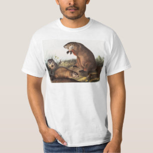 T-shirt Illustration de Woodchuck (Arctomys monax)