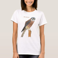 Illustration d'oiseau américain Kestrel