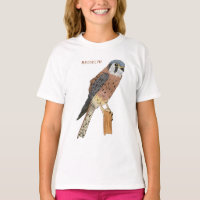 Illustration d'oiseau américain Kestrel