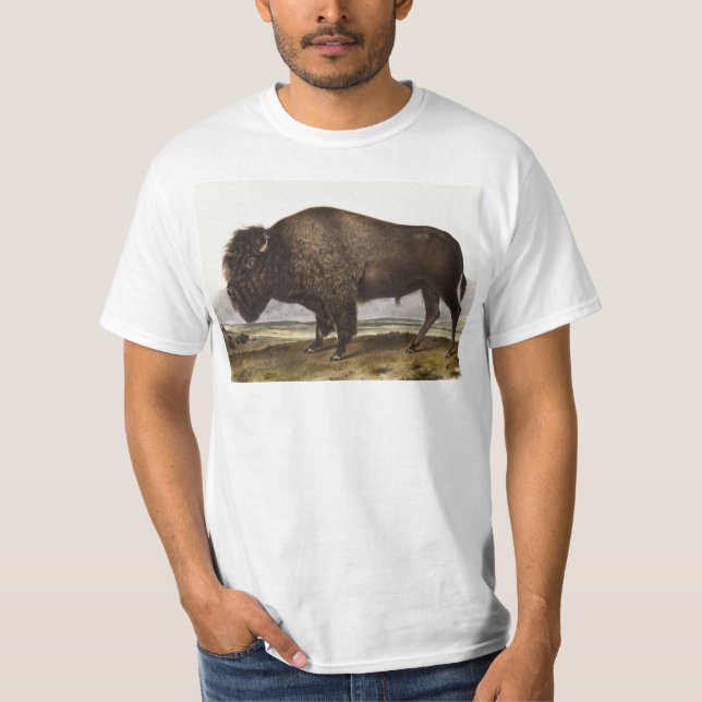 T-shirt Illustration du bison américain (Bos Americanus) (Devant)