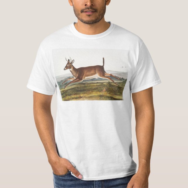 T-shirt Illustration du cerf à queue longue (Cervus leucur (Devant)
