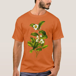 T-shirt Illustration du Plante de thé botanique Camellia S