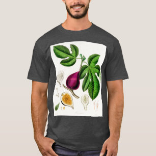 T-shirt Illustration Fig Ficus carica de la Botanique Médi