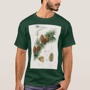 T-shirt Illustration Linus larix de la botanique Médicale 