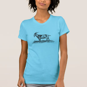 T-shirt Illustration vintage de chèvre domestique -