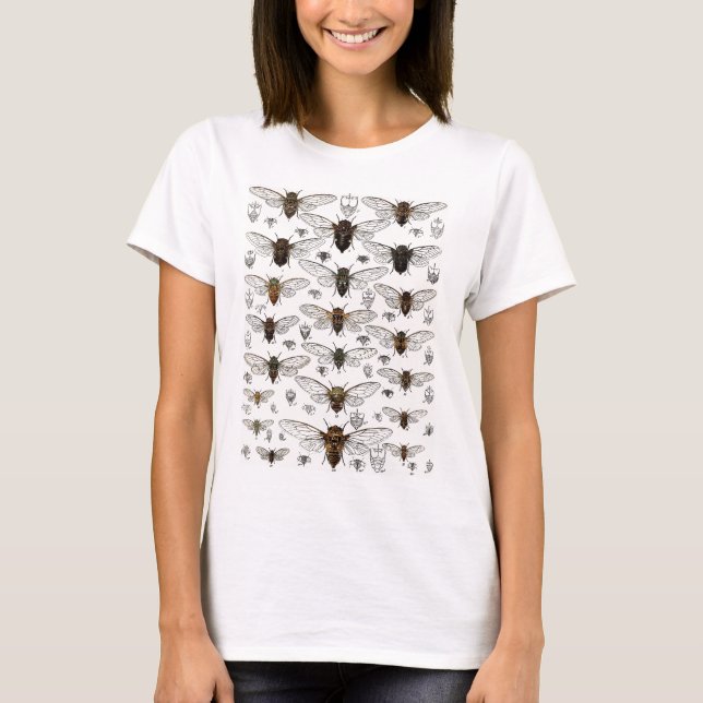 T-shirt Illustration vintage de cigales (Devant)