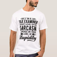 I'm A Tax Examiner