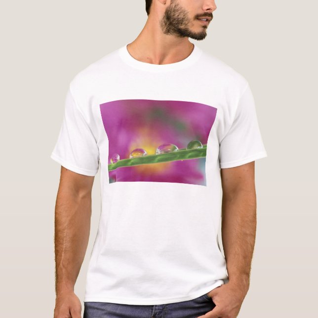 T-shirt Image d'asters formés dans des gouttelettes d'eau (Devant)