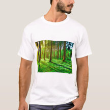 Image de la forêt verte - Nature luxuriante