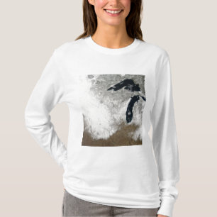 T-shirt image de Vrai-couleur de neige