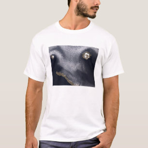 T-shirt Image satellite d'île de Semisopochnoi