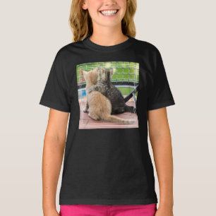 T-shirt Images Getty Deux chatons sur un balcon
