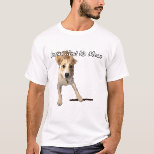 T-shirt Imma vole ton mème...