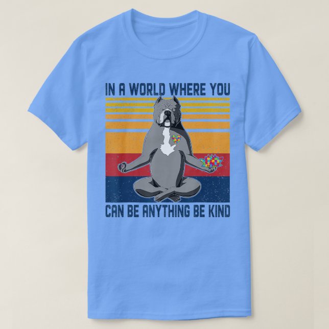 T-shirt In A World Where You Can Be Anything Be Kind - Pit (Design devant)