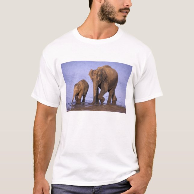 T-shirt Inde, parc national de Nagarhole. Éléphant d'Asie (Devant)