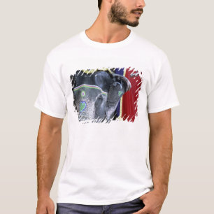 T-shirt Inde, Rajasthan, Jaipur. Fort d'Amber.