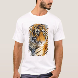 T-shirt Inde, Sawai Madhopur, Ranthambore National