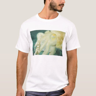 T-shirt Indonésie, province de Sulawesi du Sud, Wakatobi