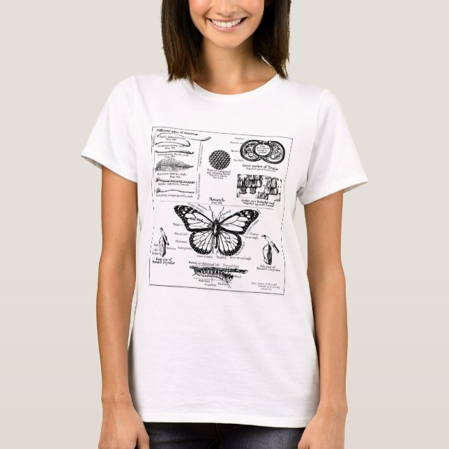 T-shirt Informations sur les papillons Monarque (Devant)