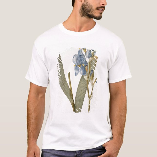 T-shirt Iris Pallida, de "Les Liliacees", 1812 (Devant)