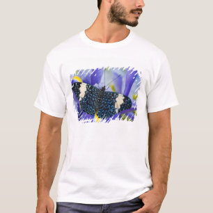 T-shirt Iris Pourpre Papillon Tropical