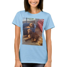 T-shirt Irlandais Setter Puppies