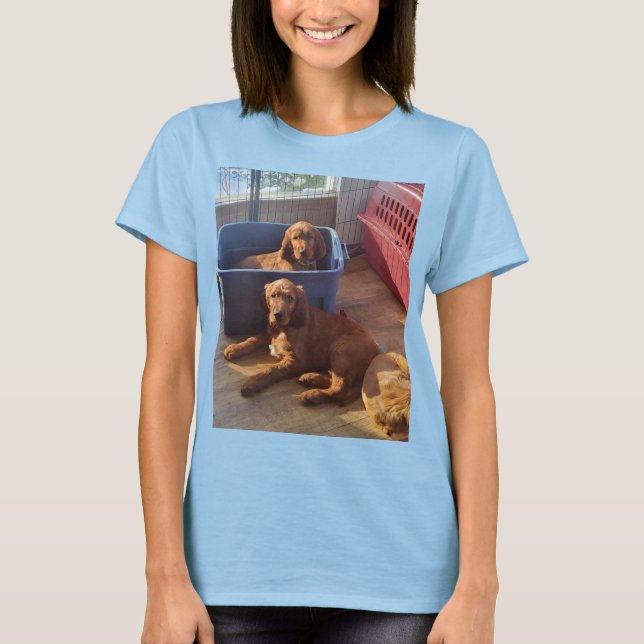 T-shirt Irlandais Setter Puppies (Devant)
