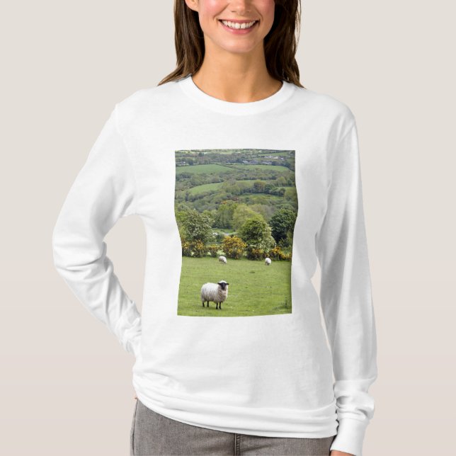 T-shirt Irlande occidentale, péninsule de Dingle, large (Devant)