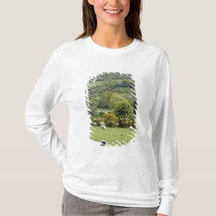 T-shirt Irlande occidentale, presqu'île de Dingle, large