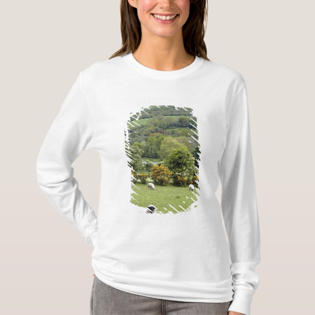 T-shirt Irlande occidentale, presqu'île de Dingle, large (Devant)