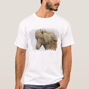 T-shirt Islande. Portrait d'un cheval islandais.