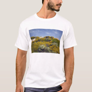 T-shirt Italie, Sardaigne, Santa Teresa Gallura. Capo 3