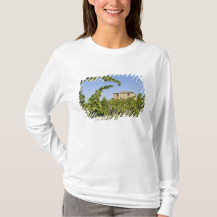 T-shirt Italie, Toscane, Montepulciano. Raisins prêts
