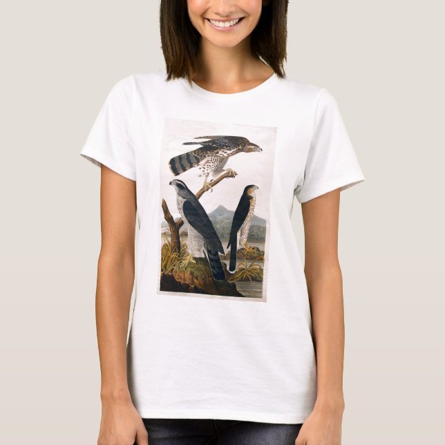 T-shirt J.J. Audubon (autour, faucon de Stanley) (1829) (Devant)