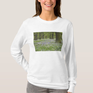 T-shirt Jacinthes et chênes au printemps, Little Hagley