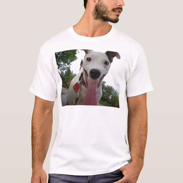 T-shirt Jack Russell Terrier (Devant)