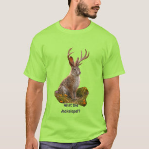 T-shirt Jackalope