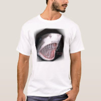 J'ai survécu à la plongée de requin
