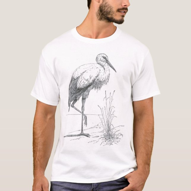T-shirt James Johonnot - Stork (Devant)