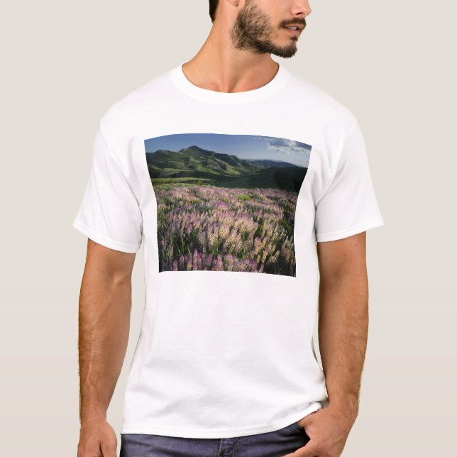 T-shirt Jarbridge Wilderness and Mountains, Nevada, Spur (Devant)