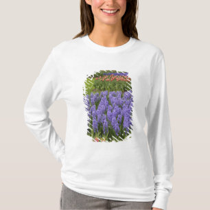T-shirt jardin de Tulip et Hyacinth, jardins de Keukenhof,