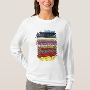 T-shirt Jardin de tulipes, comté de Skagit,