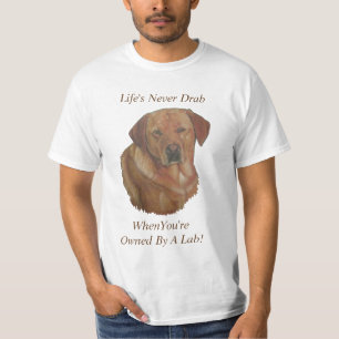 T-shirt jaune labrador retreiver chien portrait slogan amu