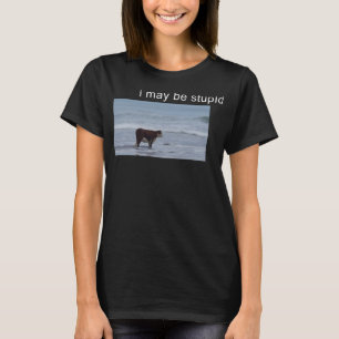 T-shirt Je pourrais être stupide Vache Mème je mai être st
