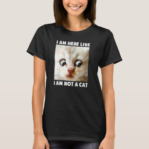 T-shirt Je Suis Ici Live Je Ne Suis Pas Un Avocat De Chat 